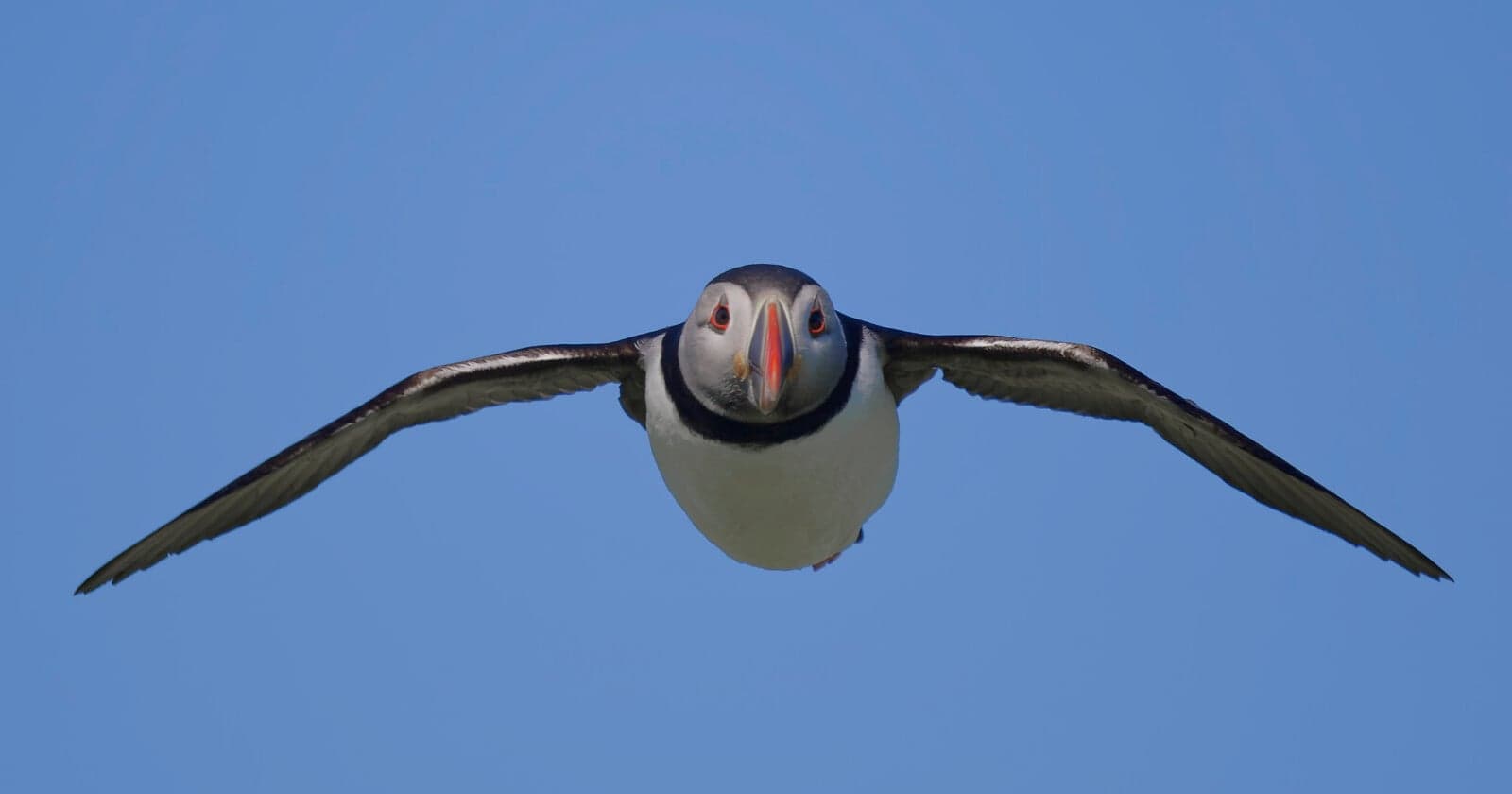 Should Photographers Even Actually Want More Megapixels?