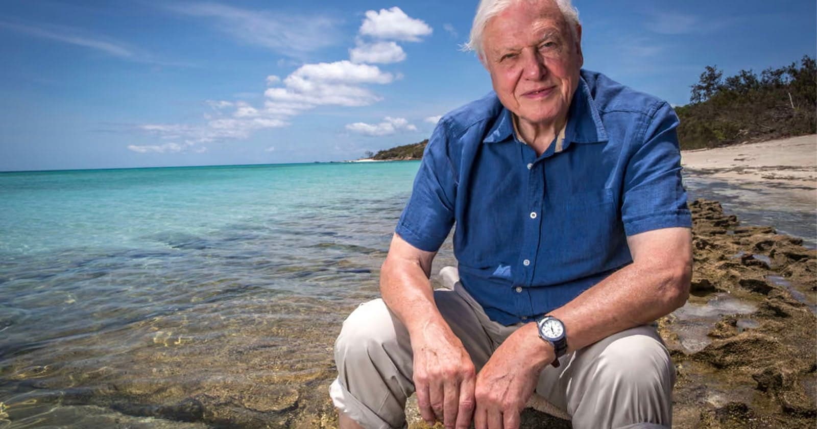 As David Attenborough Turns 100, Watch His Greatest Moments on YouTube