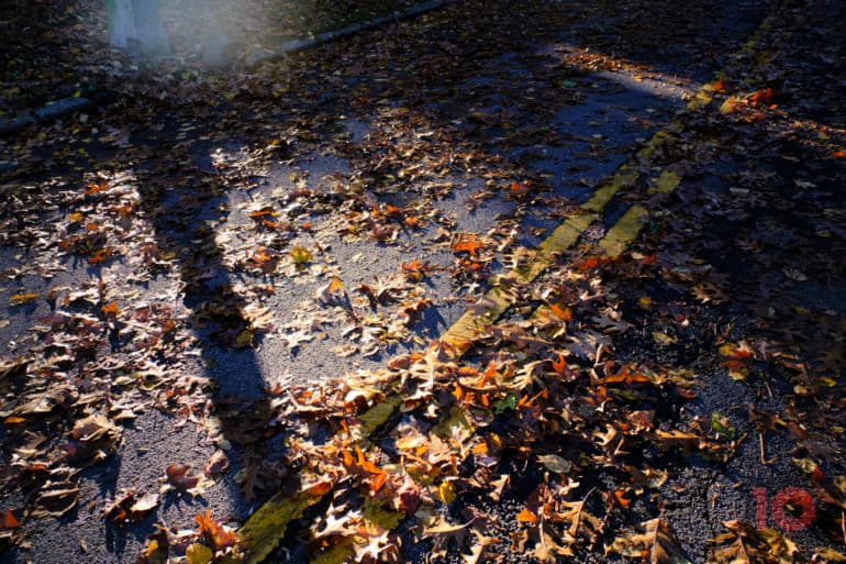 The One Way You’re Making Yourself a Worse Photographer