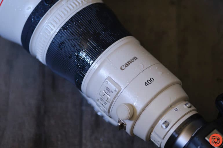 The 3 Best Birding Lenses for Canon Photographers