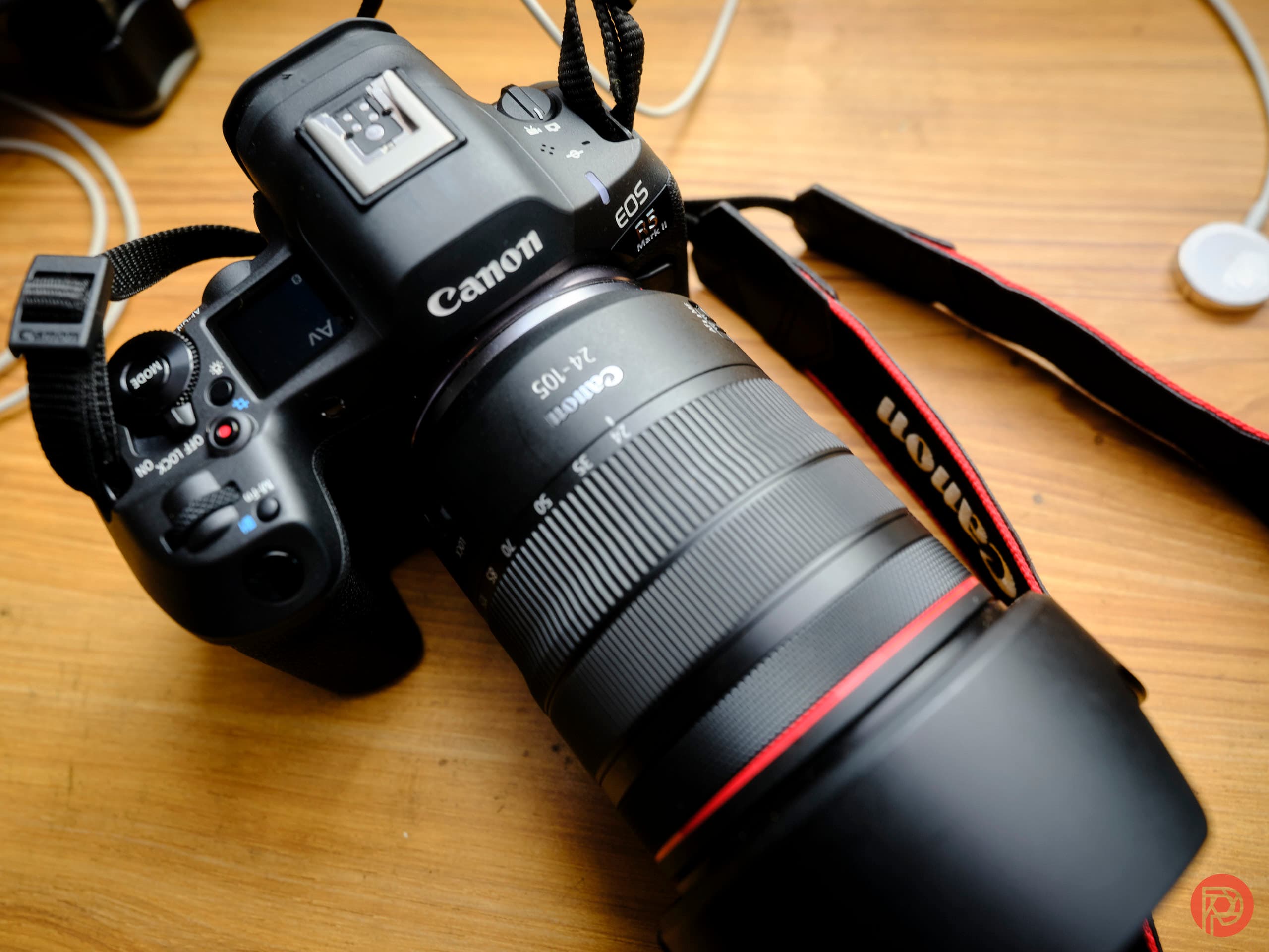 The Single Best Canon Camera for Portrait Photography