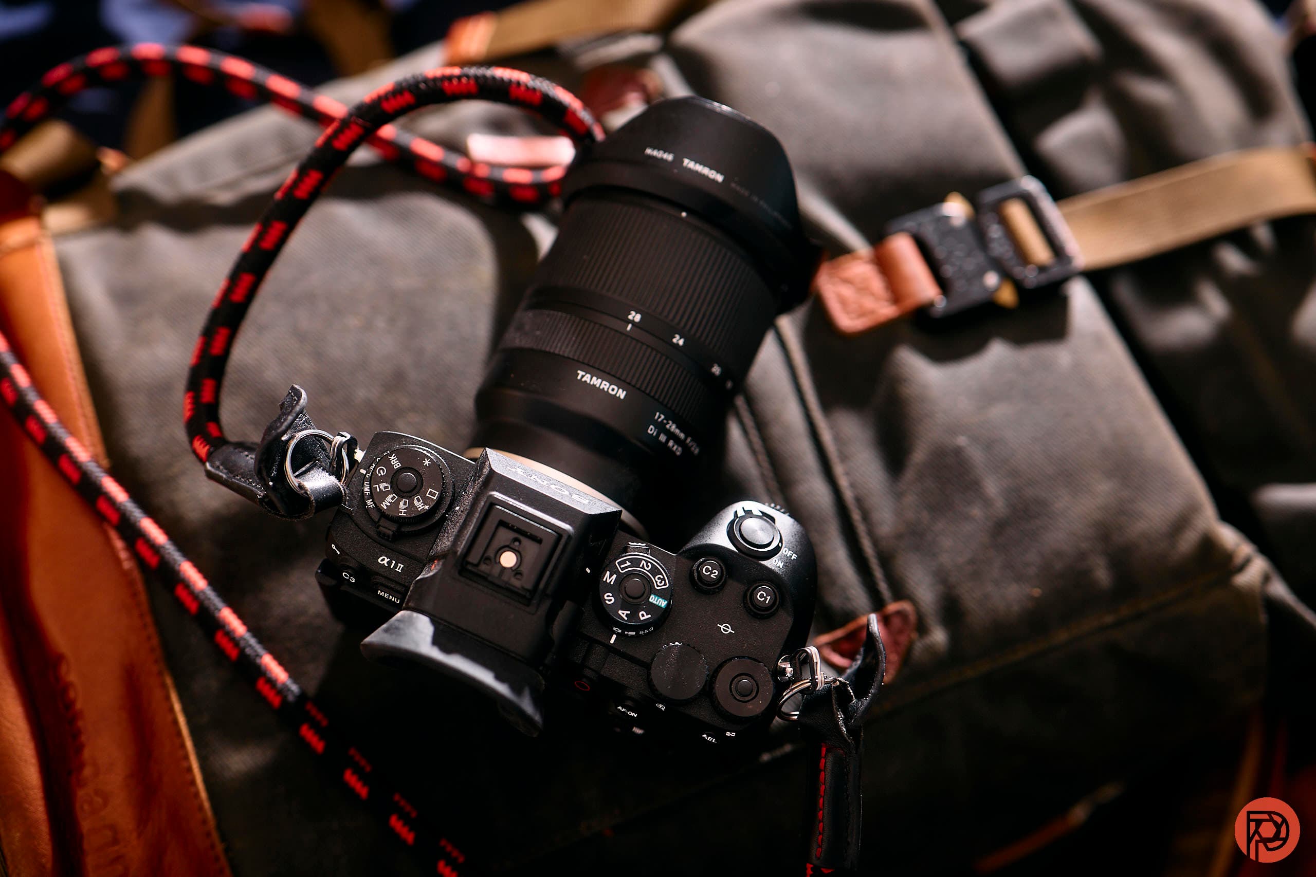 The Single Best Sony Camera for Portrait Photography